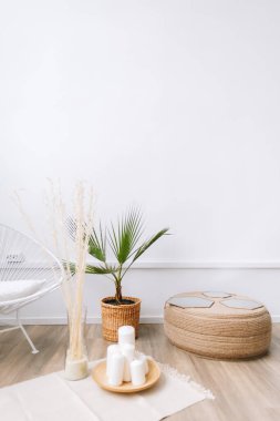 Kavanozda palmiye ağacı ve rattan süsleme elementleri. Modern evdeki oturma odasının çevre dostu iç tasarımı.
