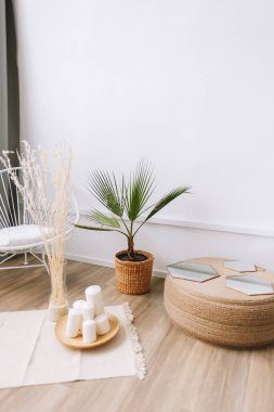 Kavanozda palmiye ağacı ve rattan süsleme elementleri. Modern evdeki oturma odasının çevre dostu iç tasarımı.