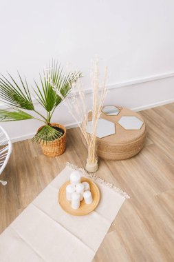 Kavanozda palmiye ağacı ve rattan süsleme elementleri. Modern evdeki oturma odasının çevre dostu iç tasarımı.