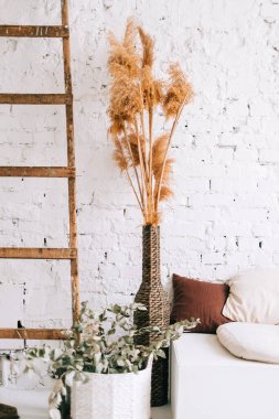 Beyaz duvarlı parlak oturma odasının iç tasarımı ve yastıklı kanepe. Kurumuş yüksek bitkiler ve duvarın yanındaki tahta merdiven..