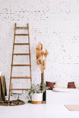 Beyaz duvarlı parlak oturma odasının iç tasarımı ve yastıklı kanepe. Kurumuş yüksek bitkiler ve duvarın yanındaki tahta merdiven..