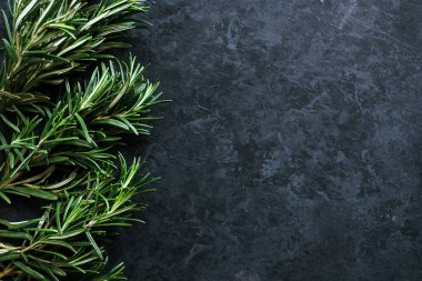 Siyah arkaplanda kopyalama alanı olan biberiye dalı.