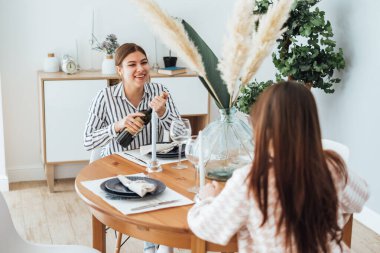 İki kadın arkadaş, birbirlerini uzun zamandır görmedikleri bir toplantıyı kutluyorlar. Evde, mutfakta oturmuş şarap içiyor, eğleniyor ve sohbet ediyorlar..