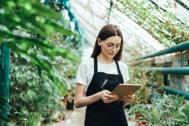 Woman gardener in apron working in a garden center. Environmentalist using tablet computer in greenhouse.	