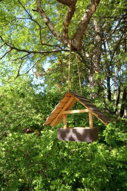 Besleyici parkta kuşlar için