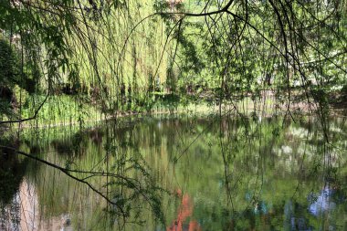 Şehir park su birikintisi