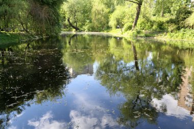 Şehir park su birikintisi