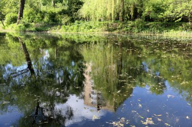 Şehir park su birikintisi