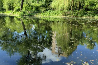 Şehir park su birikintisi