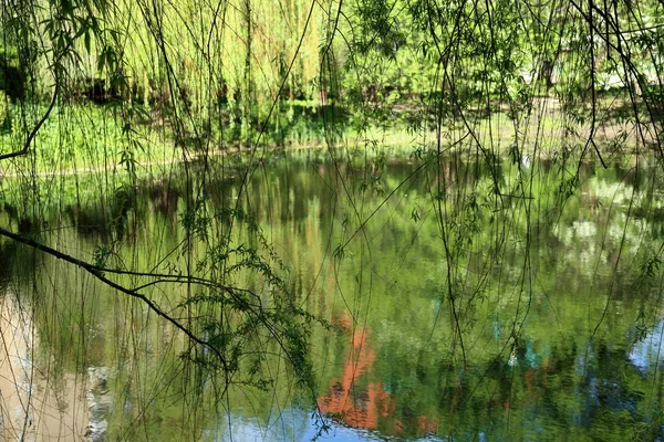 Lagoa em um parque da cidade — Fotografia de Stock