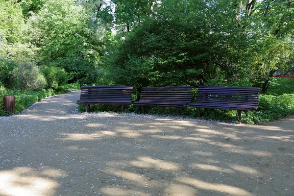 Panche in legno nel parco — Foto Stock