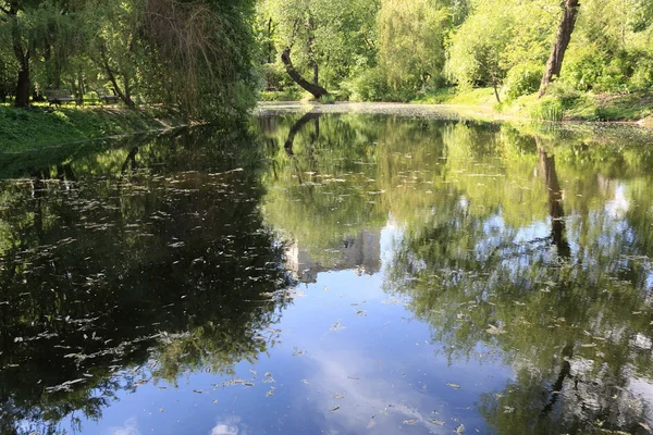 Lagoa em um parque da cidade — Fotografia de Stock