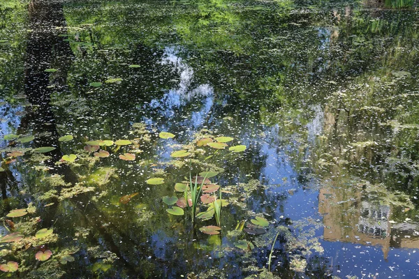 The surface of the muddy water — Stock Photo, Image