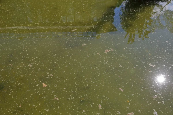 Het oppervlak van de modderig water — Stockfoto