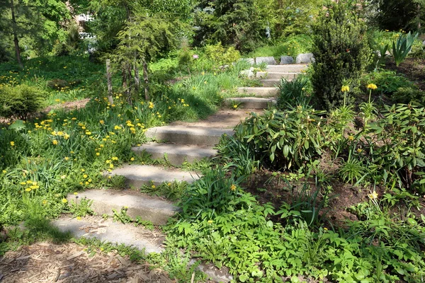 Кам'яні сходи в саду — стокове фото
