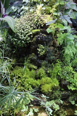 Ev yapımı mini şelale