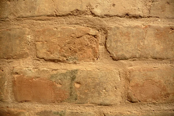 Texture mur de briques — Photo