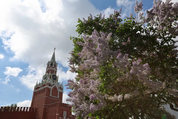 Спаська вежа Московського Кремля. — стокове фото