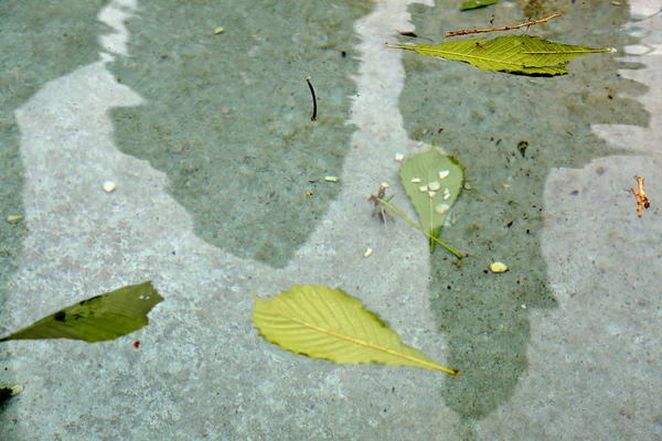 Textura přírodní vody — Stock fotografie