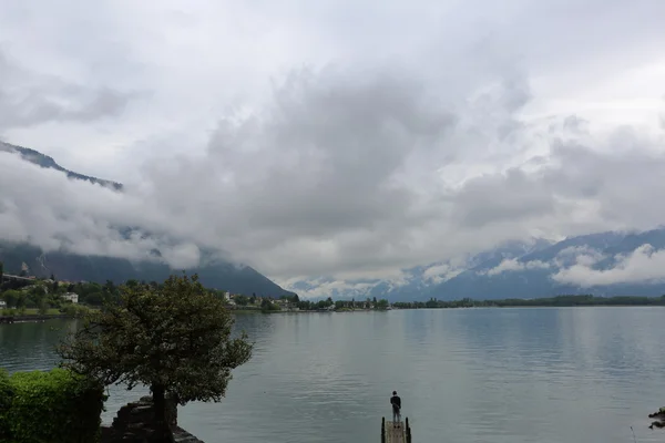 夏季には素晴らしい湖ジュネーブ — ストック写真