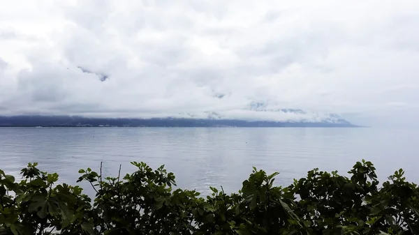 The amazing Lake Geneva in the summer — Stock Photo, Image