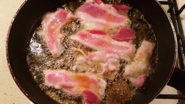 맛 있는 돼지고기 베이컨 — 비디오