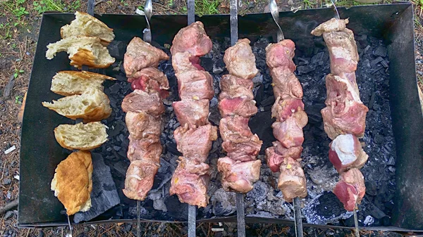 Brochetas de carne sobre carbón — Foto de Stock