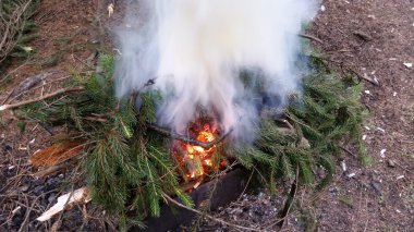 Büyük yangın duman