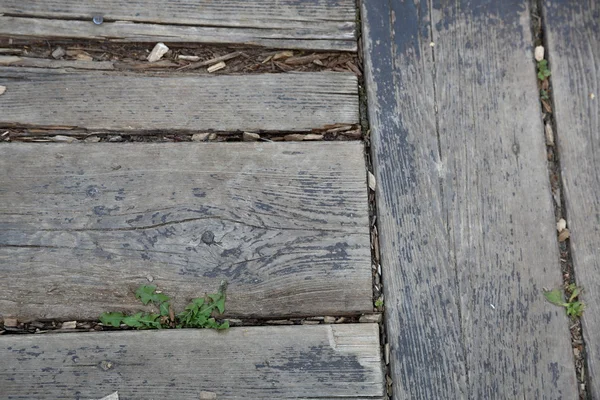 Holzplanken. Textur — Stockfoto