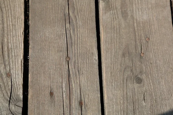 Planches en bois. Texture — Photo