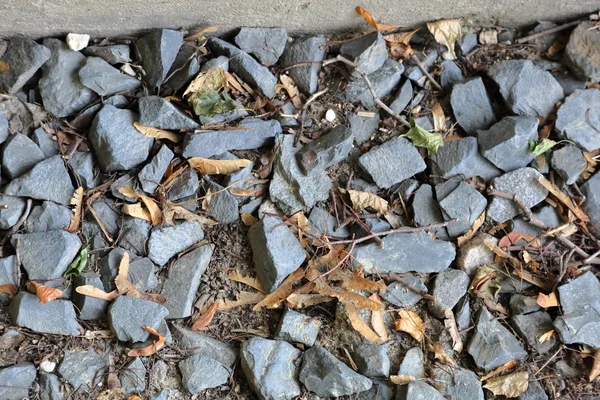 Textura de pedra natural — Fotografia de Stock