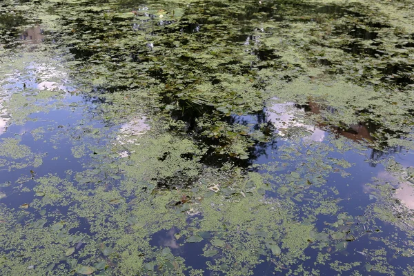 Die Oberfläche des schlammigen Wassers — Stockfoto