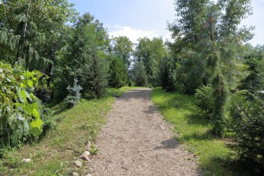 Parkta yayalar için yol