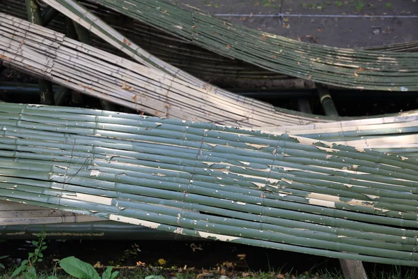 A casca de bambu curvada — Fotografia de Stock