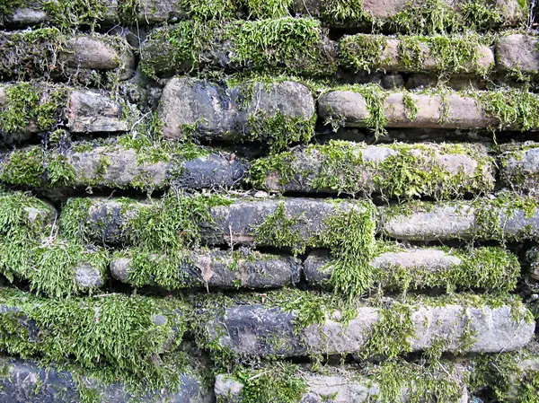 Textura de pedra natural — Fotografia de Stock