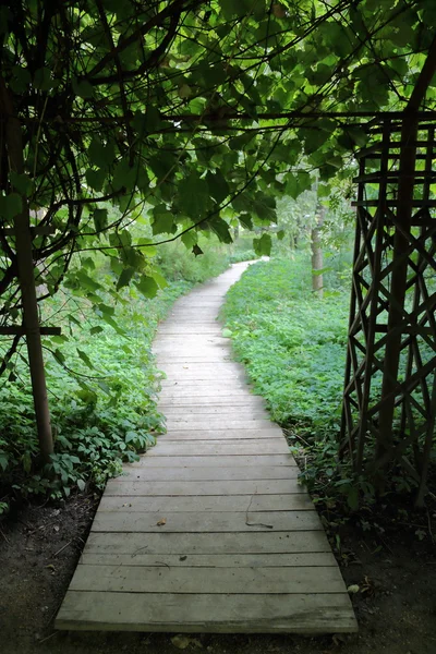 Chemin pour les piétons dans le parc — Photo