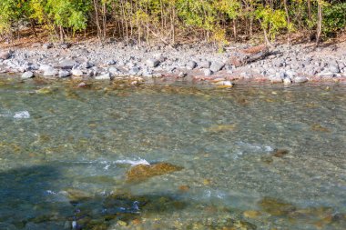 Kayalık bir kıyıya yakın bir dağ nehrinin güçlü suları.