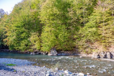 Kayalık bir kıyıya yakın bir dağ nehrinin güçlü suları.