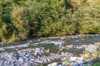 Kayalık bir kıyıya yakın bir dağ nehrinin güçlü suları.