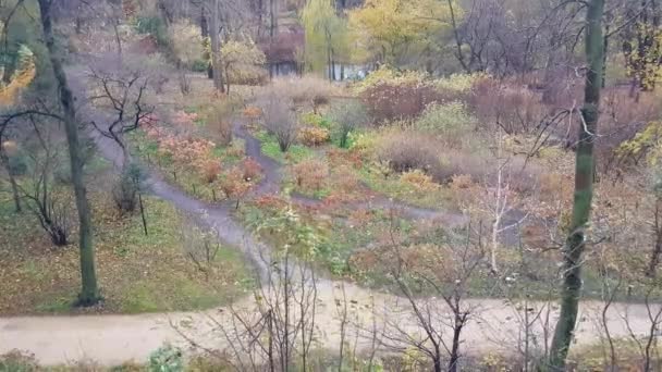 Pahalı Sonbahar Ağaçlarıyla Dolu Şehir Parkı Rüzgarlı Bir Günde — Stok video