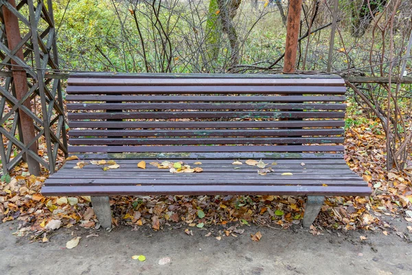 Лесная Скамейка Городском Парке Осенью — стоковое фото