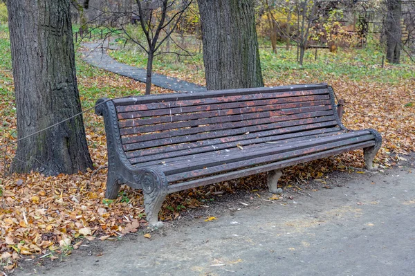 Fából Készült Rekreációs Pad Egy Városi Parkban Ősszel — Stock Fotó