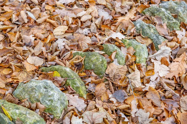 Pierre Naturelle Brute Non Traitée Dans Environnement Quotidien Jardinage Aménagement — Photo