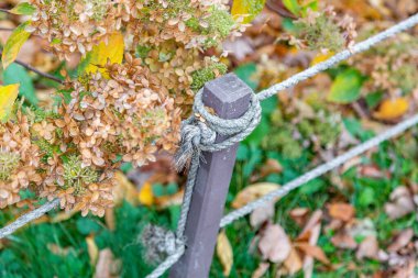 Tahta çivilerden ve örülmüş iplerden yapılmış alçak ahşap bir çitin parçası.