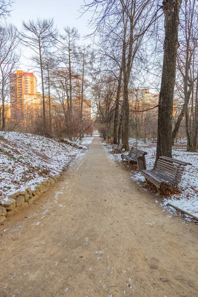 Snowy deserted city park in the cold winter