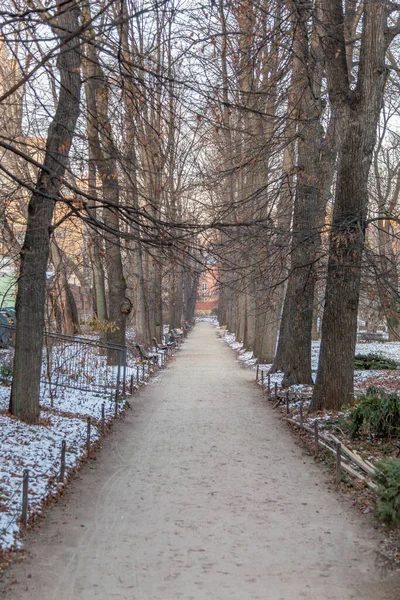 Snowy Deserted City Park Cold Winter — Stock Photo, Image