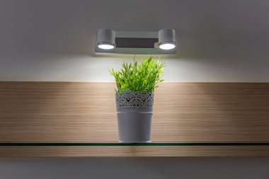 Odanın ve dairenin iç dekorunda çok güzel bir plastik fabrikası var.