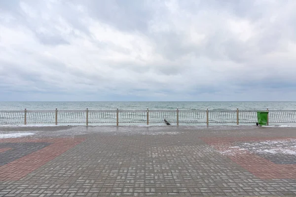 Vinterkustlandskap Med Östersjön Vatten Horisont Och Molnig Himmel Kaliningradregionen Ryssland — Stockfoto