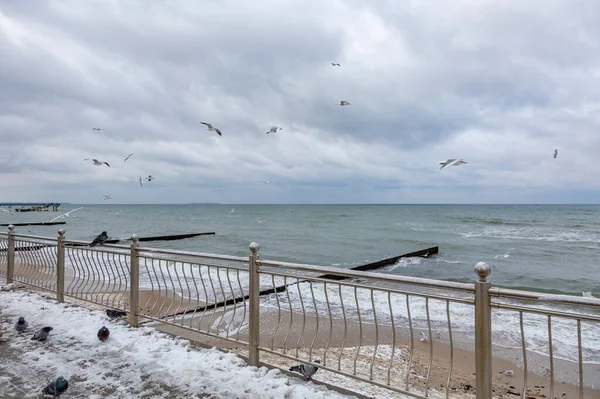 ロシアのカリーニングラード地域でバルト海の海 水平線と曇りの空と冬の風景 — ストック写真