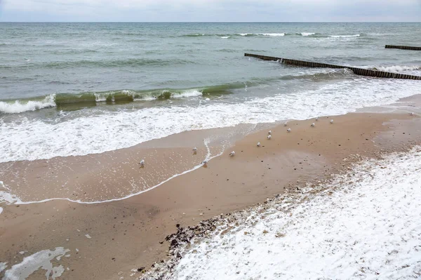 ロシアのカリーニングラード地域でバルト海の海 水平線と曇りの空と冬の風景 — ストック写真